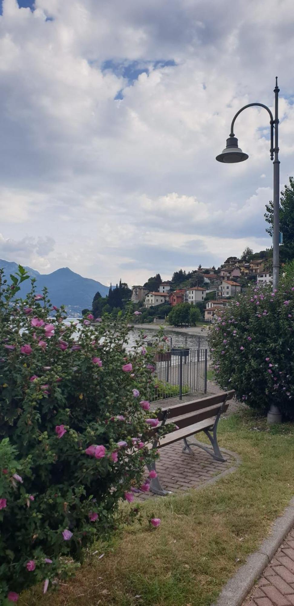 Residence Laguna Beach Pianello Del Lario Exterior photo