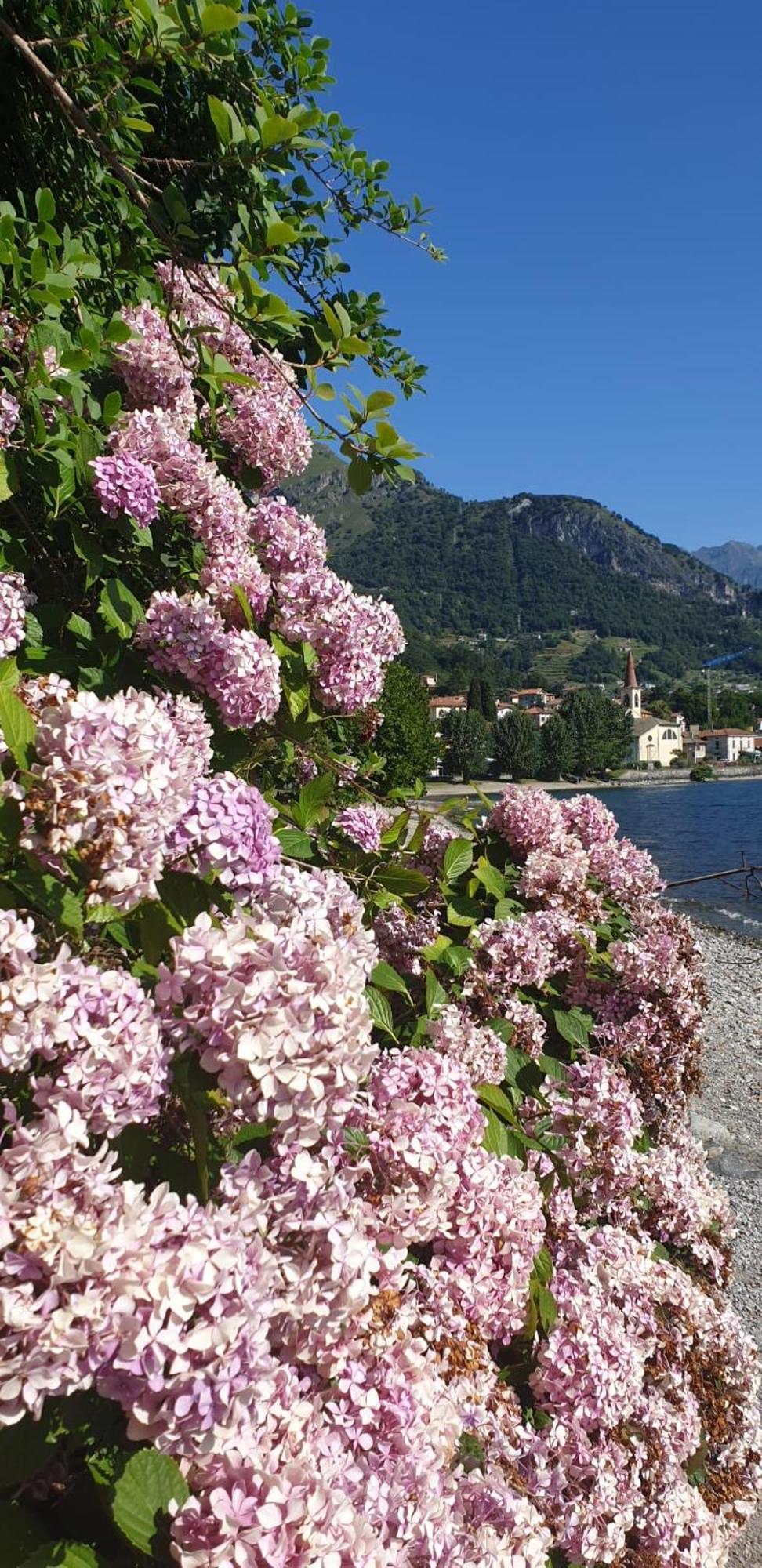 Residence Laguna Beach Pianello Del Lario Exterior photo